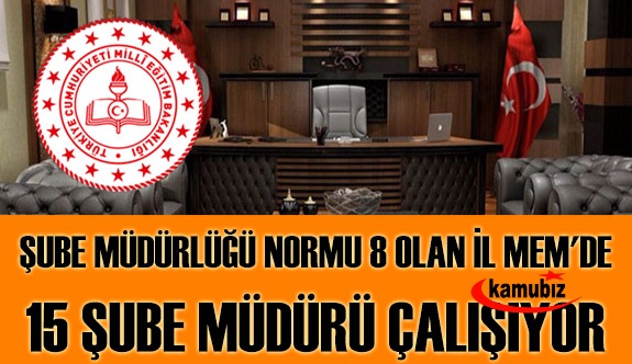 Şube Müdürlüğü Normu 8 olan İl MEM'de 15 Şube Müdürü çalışıyor.