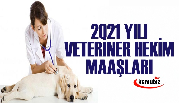 Kamuda Veteriner Hekim Maaşları 2021 Ne Kadar?