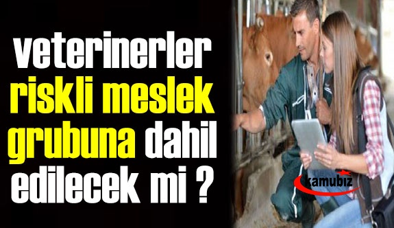 Veteriner hekimler riskli meslek grupları içine alınacak mı?