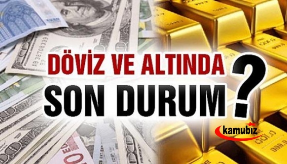 Avro 10 TL'yi geçti, Dolar: 8,34 TL! Altın 479 lira seviyesinde