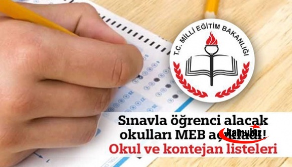 MEB 2021 LGS Kontenjanları İle 2020 Yüzdelik Dilimleri Açıkladı