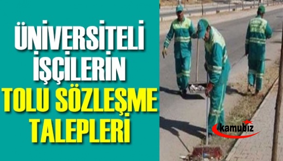 Üniversiteli İşçilerin TİS Talepleri