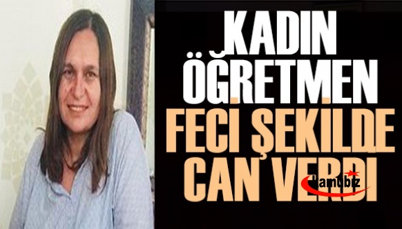 Köpekleri ayırmak isteyen öğretmen feci şekilde can verdi