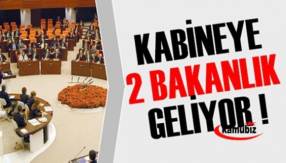 Kabineye iki yeni bakanlık geliyor!