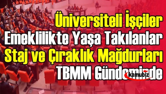 Üniversiteli işçiler, emeklilikte yaşa takılanlar ile  çırak ve staj mağdurları Meclis gündeminde