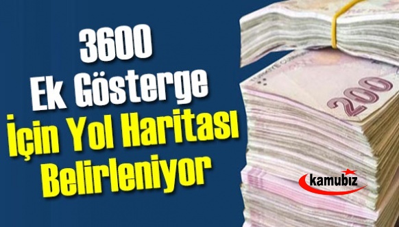 3600 ek gösterge için yol haritası belirleniyor