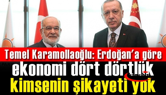 Temel Karamollaoğlu: Erdoğan'a göre ekonomi dört dörtlük kimsenin şikayeti yok