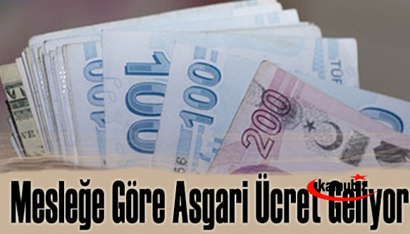 Mesleğe göre asgari ücret geliyor