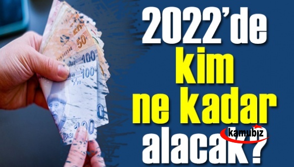 Memur, emekli, engelli, doktor, evde yakınına bakan ne kadar alacak? İşte tahminlere göre 2022 Ocak zamları