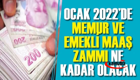 Kasım 2021 enflasyon rakamları açıklandı! Peki 2022 Ocak ayında memura ne kadar enflasyon farkı oluştu?