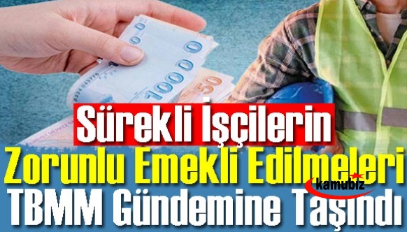 Sürekli işçilerin zorunlu emekli edilmeleri ve düşük emekli aylıkları TBMM'ye taşındı