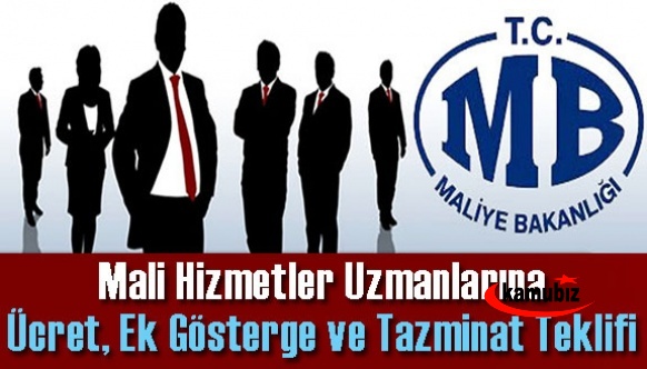 Mali hizmetler uzmanlarına; ücret, ek gösterge ve tazminat teklifi