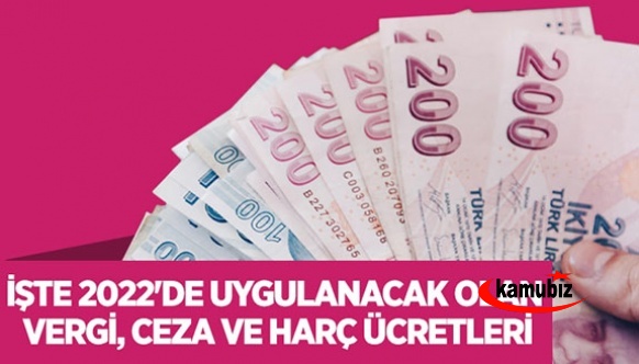 İşte 2022'de uygulanacak vergi, ceza ve harçlar! Hepsine zam geldi!