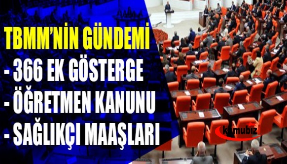 TBMM'nin gündeminde 3600 ek gösterge, Öğretmenlik Meslek Kanunu, sağlık personeli maaşları var..