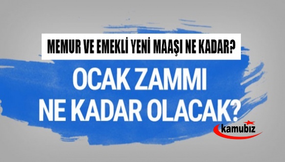 TÜİK resmi rakamları açıkladı: Enflasyonda son 19 yılın zirvesi! Memur ve emeklinin zam oranı belli oldu!