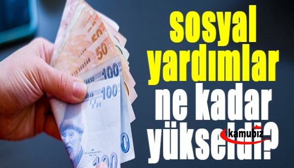 Memur maaşları arttı, sosyal yardımlar da yükseldi! Peki 2022 yılında 65 yaş aylığı, evde bakım desteği, engelli aylığı ve engelli yakınına ödenen aylık ne kadar oldu?