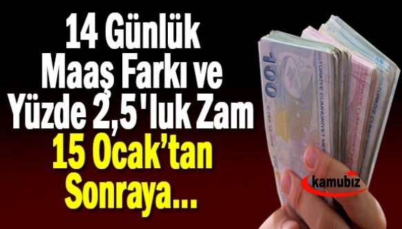 Memurların 14 günlük maaş farkı ve yüzde 2,5'luk zammı 15 Ocak'tan sonraya kaldı