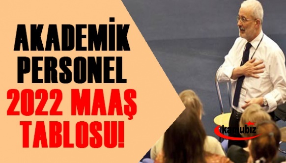 Unvanlarına göre akademik personel maaşı 2022 ne kadar? (Öğretim Görevlisi, Doçent ve Profesör)