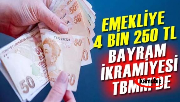 CHP'den emeklilere 4 bin 250 lira bayram ikramiyesi talebi