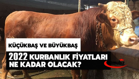 Kurbanlık fiyatları 2022 ne kadar? İşte büyükbaş ile küçükbaş kurban 2022 fiyatları..