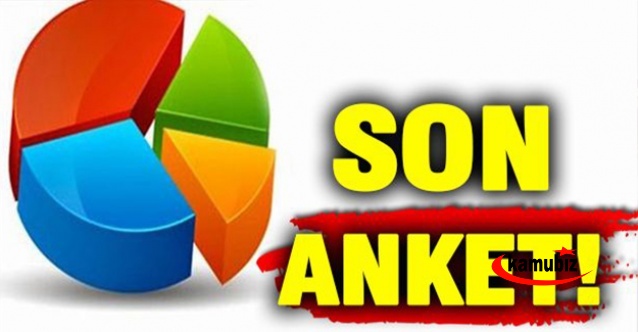 Area Araştırma son anket sonuçları