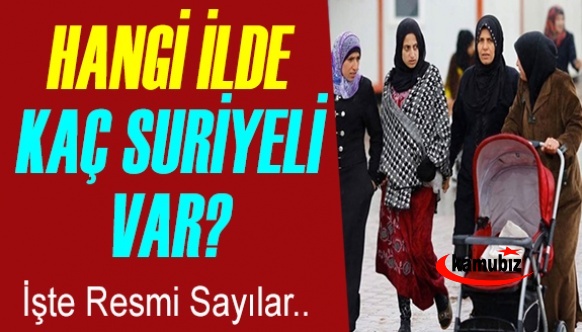 İçişleri Bakanlığı hangi ilde kaç Suriyeli olduğunu açıkladı... İşte il il Suriyeli sayısı