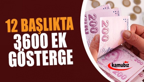 12 başlıkta 3600 ek gösterge!