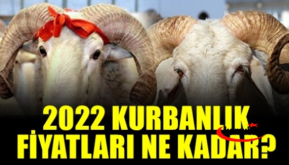 2022 kurbanlık fiyatları ne kadar oldu? Büyükbaş, küçükbaş..