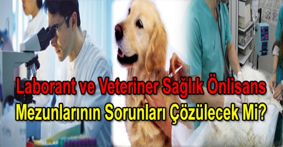 Laborant ve Veteriner Sağlık Önlisans Mezunlarının Sorunları Çözülecek Mi?