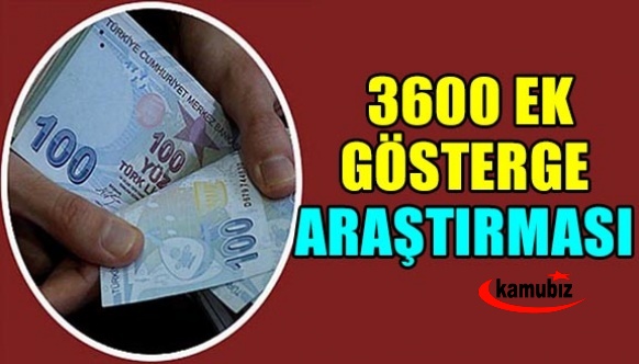 Başmüfettişi Mahmut Esen'den, 3600 ek gösterge araştırması! Ek Göstergede Beklentiyi Karşılayamama Çıkmazı!