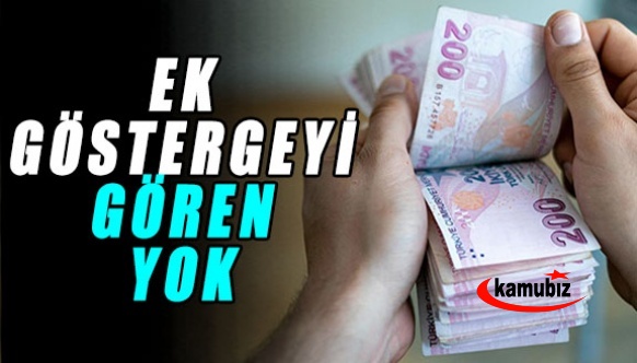 Ek göstergeyi gören yok!