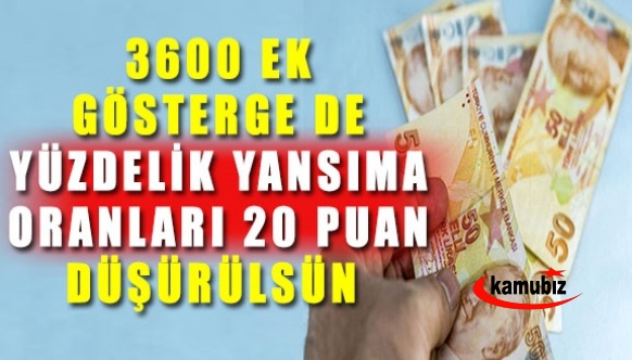 3600 ek göstergede yüzdelik yansıma oranı 20 puan düşürülsün