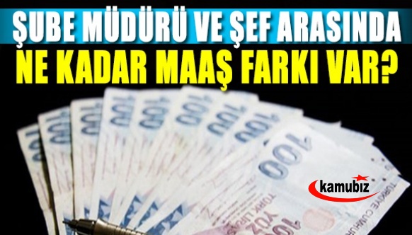 Şube müdürü ve şefler arasında ne kadar maaş farkı var?