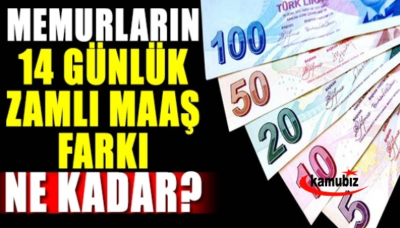 Memur, öğretmen, doktor, hemşire, polis, zabıt katibi 14 günlük maaş farkı ne kadar?