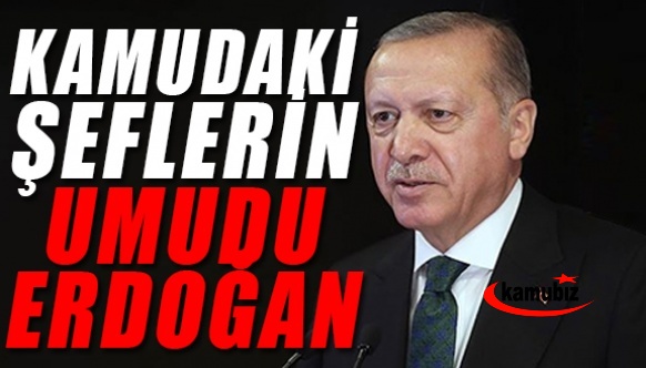 Kamudaki şeflerin tek umudu Cumhurbaşkanı Erdoğan